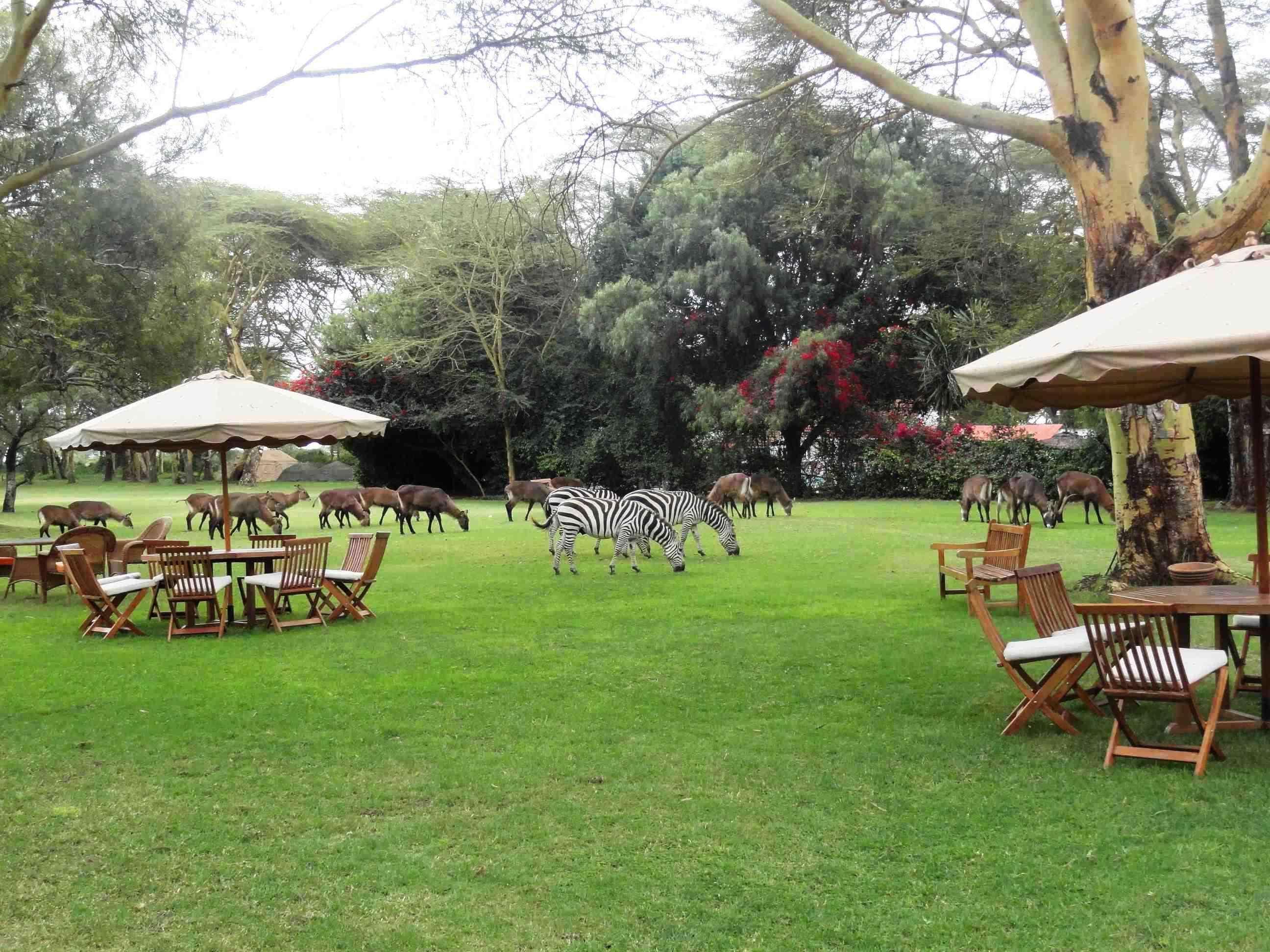 Muthu Lake Naivasha Country Club, Naivasha Karagite Kültér fotó
